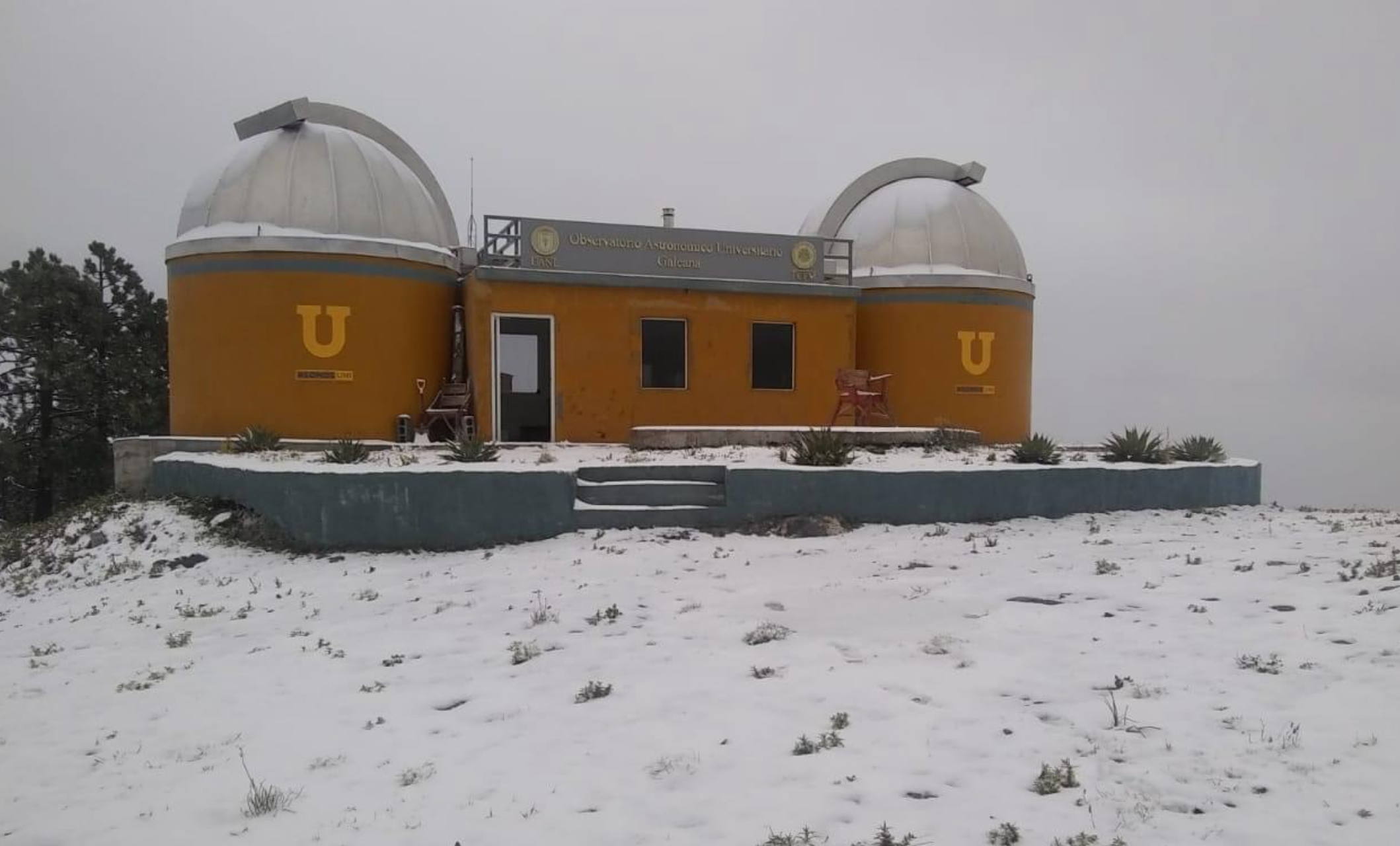 Cae nieve en el Cerro del Potosí en Galeana, Nuevo León (VIDEO)